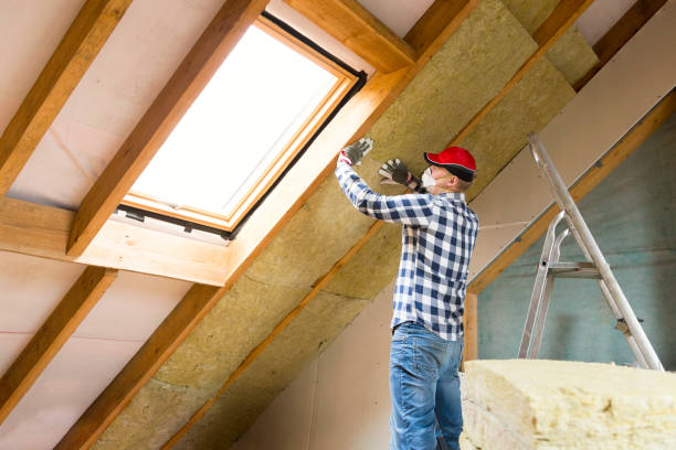 Best Spray Foam Insulation in Asbury, IA